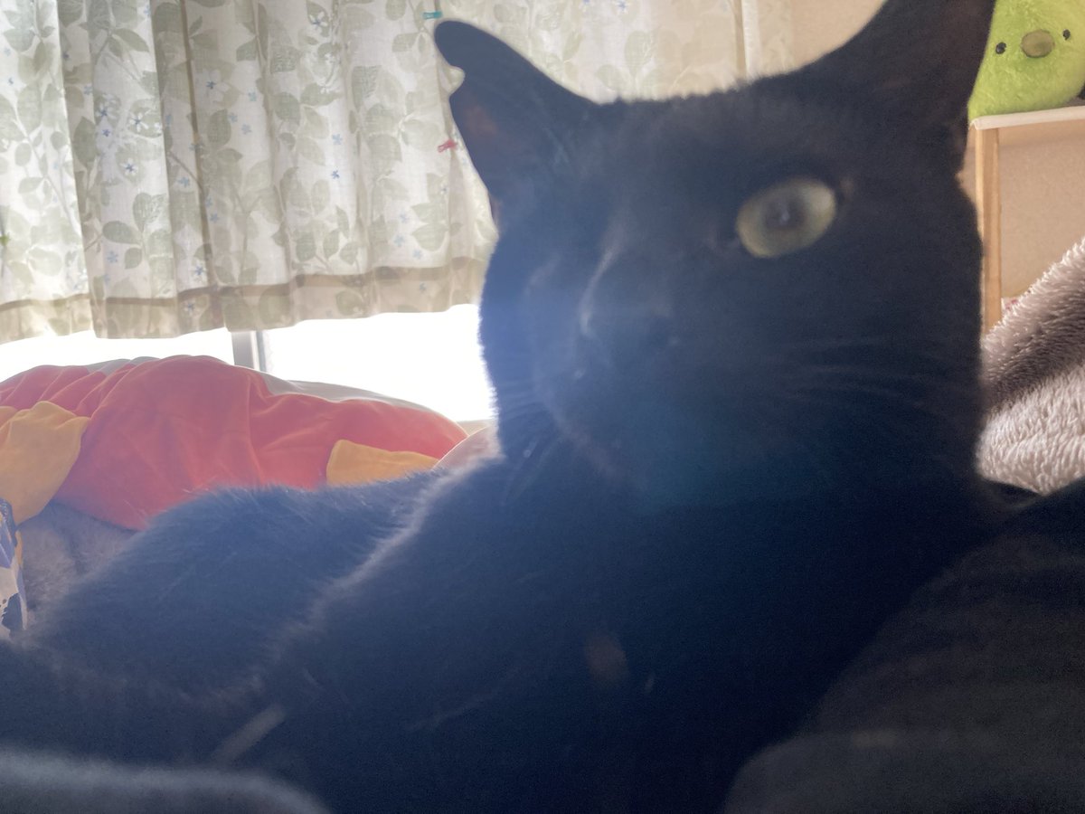 余裕持ちすぎてあとでバタバタすることもあるよね！🤣 https://t.co/Kq5cZd3nK2