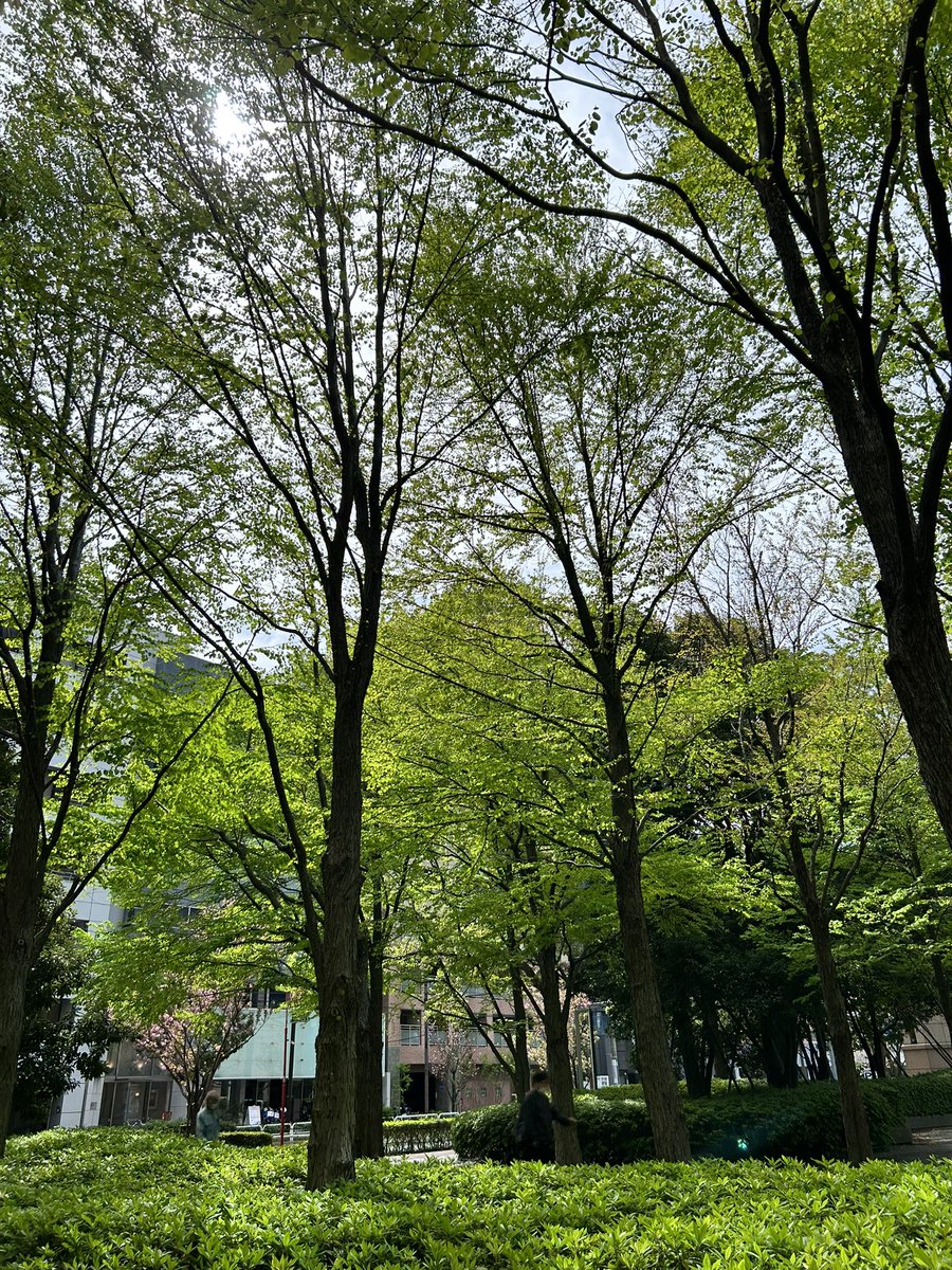LogisticsTruth's tweet photo. おはようございます🌥
品川は朝は曇っていましたが、今は日差しが出てきて暖かくなりました！

ゴールデンウィークです！
あともう2日頑張れば連休です！

いい天気で気分良くゴールデンウィークを過ごしたいですね😆 https://t.co/qVcdbgs0z1