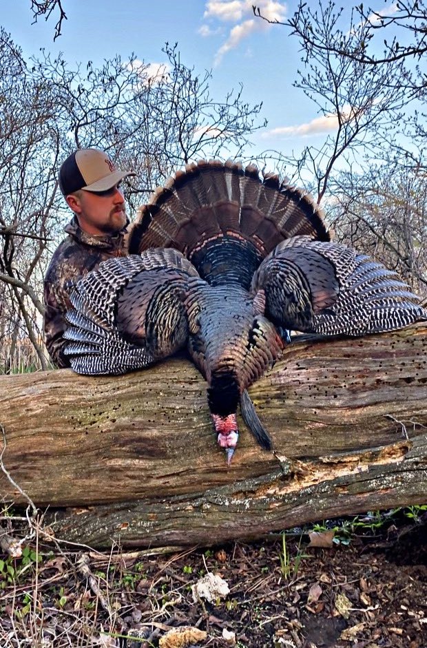 midstateoutdoor's tweet photo. Michigan tags are going quick for MSO👀

#hunt #hunter #hunting #turkeyhunting #springturkey https://t.co/TVRdH0I4ho