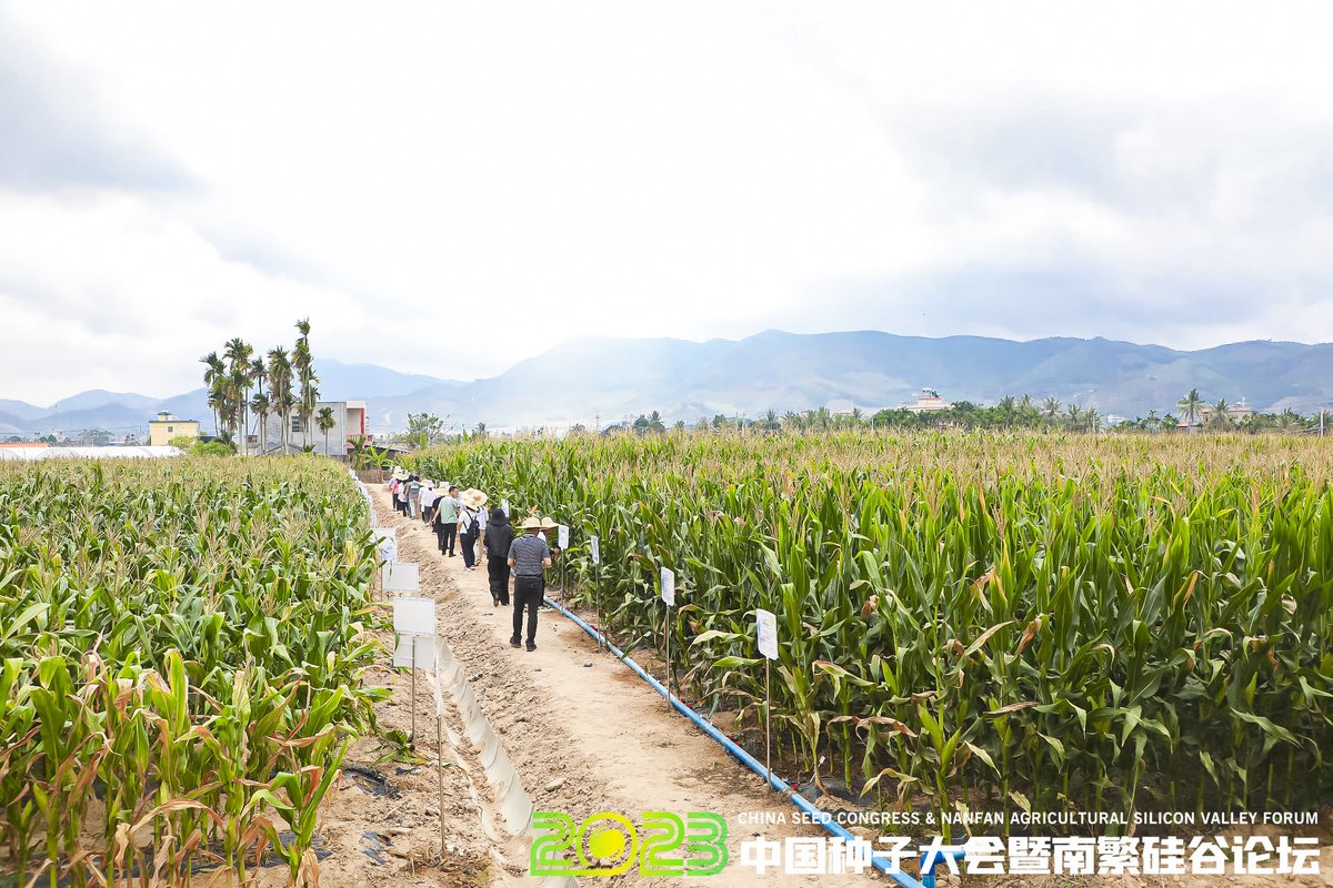 International Seed Federation on Twitter "China Seed Congress 2023