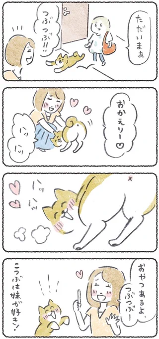 犬、家族だからといって全員好きにはならないところが、素直に生きてて好き(1/2)