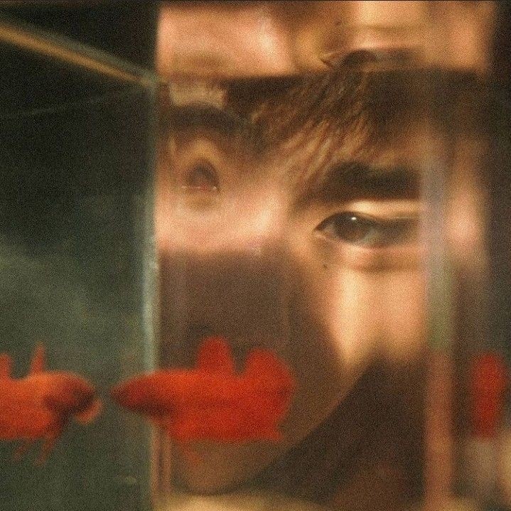 ୭ৎ | 5k tweet media