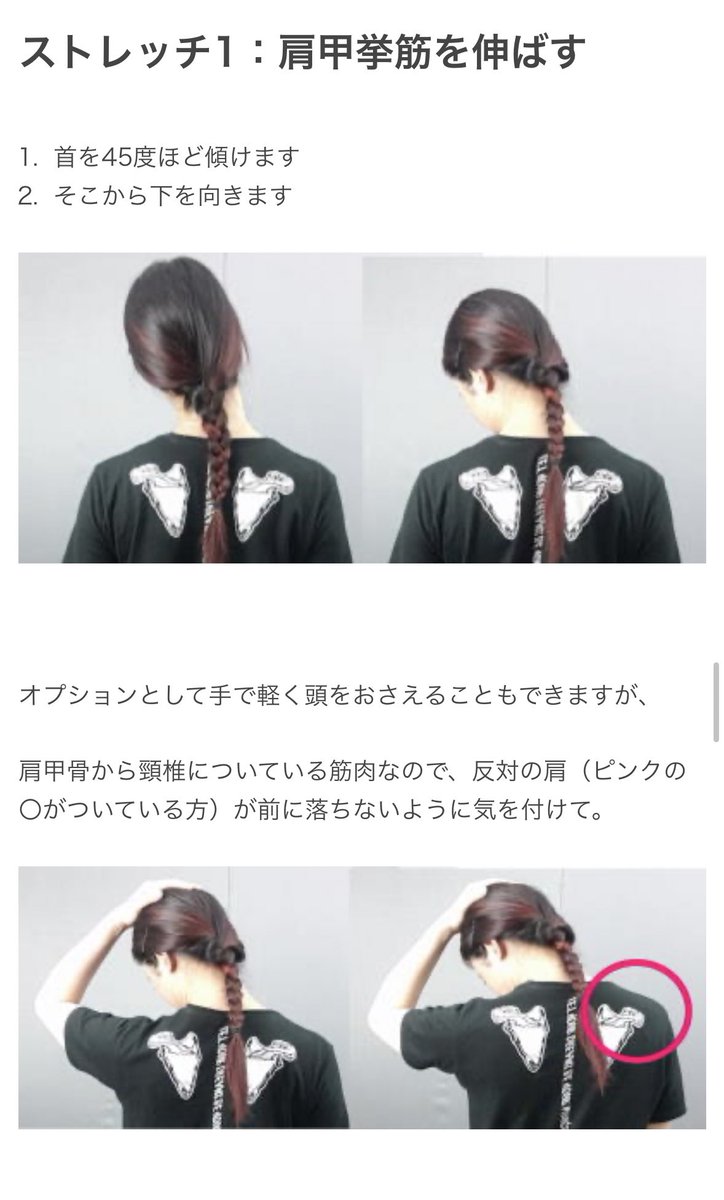 Z55Id's tweet photo. バレエでも首を長く見せるために広頚筋や肩甲挙筋のストレッチが出てくる https://t.co/oPgqu1YXka