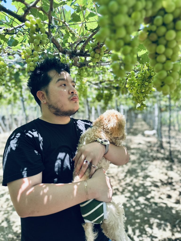 titoofmalaysia's tweet photo. Papa and Baby Sugar! ♥️❤️♥️❤️♥️🐩

#grapesfarm #elyu https://t.co/8vKHrWftnD