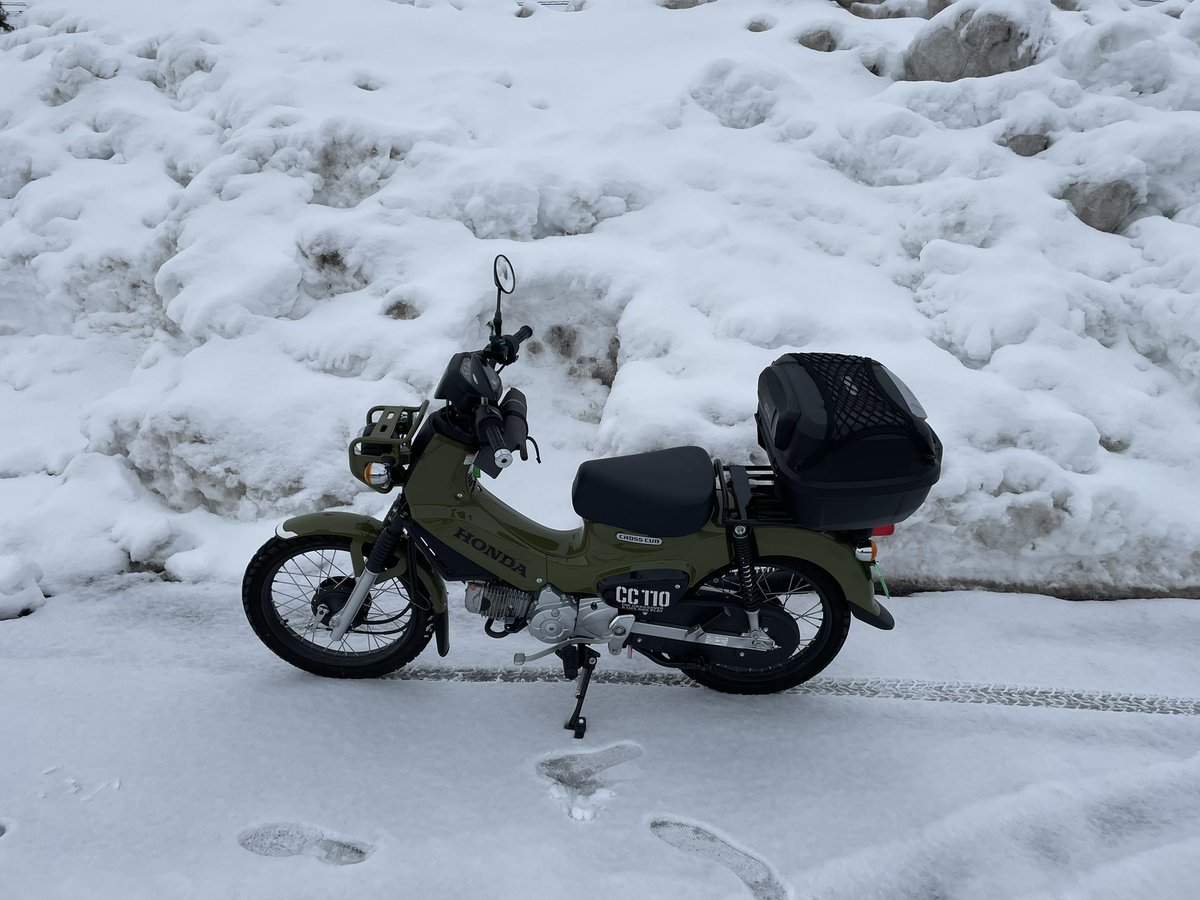 RT Rider tweet media
