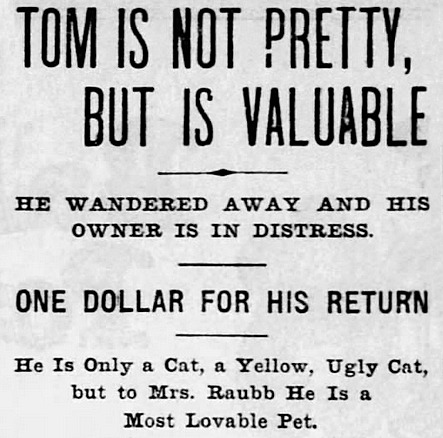 Yesterday's Print tweet media