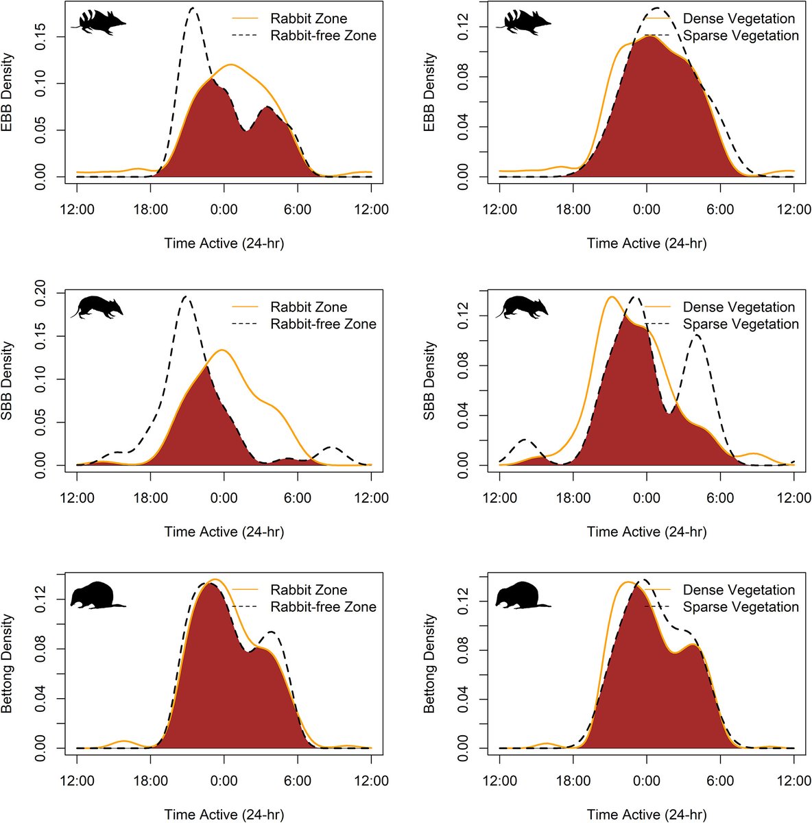 Nova pesquisa em #AustralEcology: Os coelhos influenciam a atividade temporal, mas não espacial, de três espécies de marsupiais.
#Science #rabbit 
@DeakinCIE @DeakinResearch @Anthony_Rendall @WileyEcolEvol @EcolSocAus bit.ly/3KNAoTD