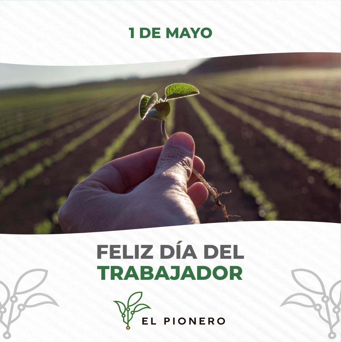 💪🏼Solo con trabajo se consiguen los mejores resultados
¡Feliz día del trabajador a todos nuestros clientes, colegas y amigos!

#diadeltrabajador