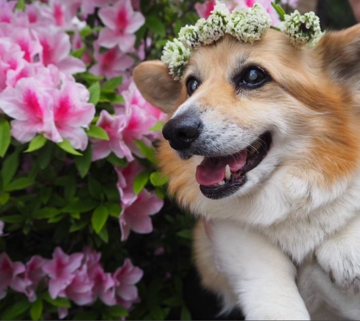 新緑の５月スタート。
私の抱き向きの癖で、こちら
向きが多いもーちゃんです☺️
新しい1ヶ月宜しくお願いします