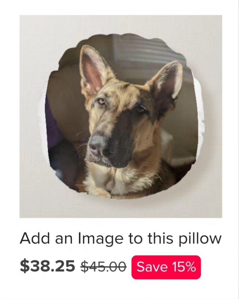 Hey MAGSR family! Go check out our zazzle store. We recently added pint glasses to our selection! Youll also find a MAGSR wall clock, apparel, even baby bibs! Dont forget to mention the pillow with a picture of your choice! 
Get it now!
zazzle.com/s/magsr