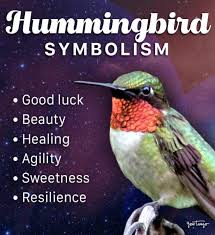 Hummingbird lover usa (@hummingbirdlo14) on Twitter photo 