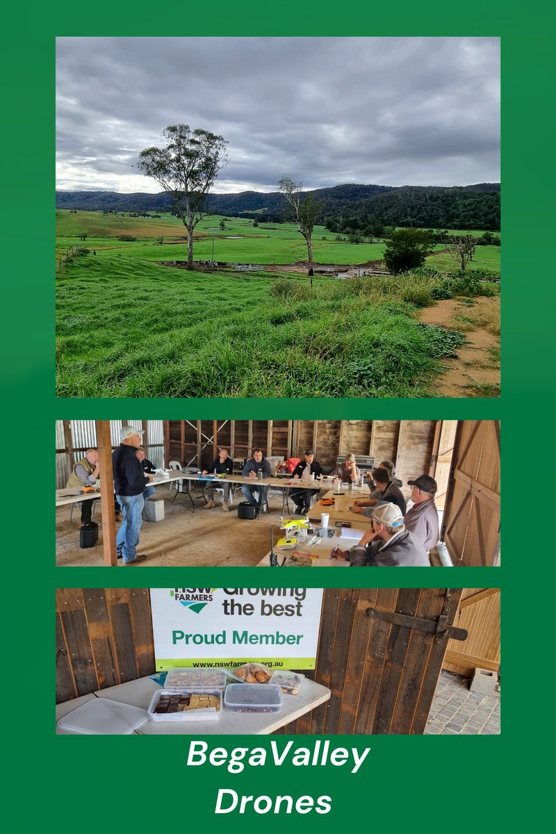 Daniel Brear tweet media