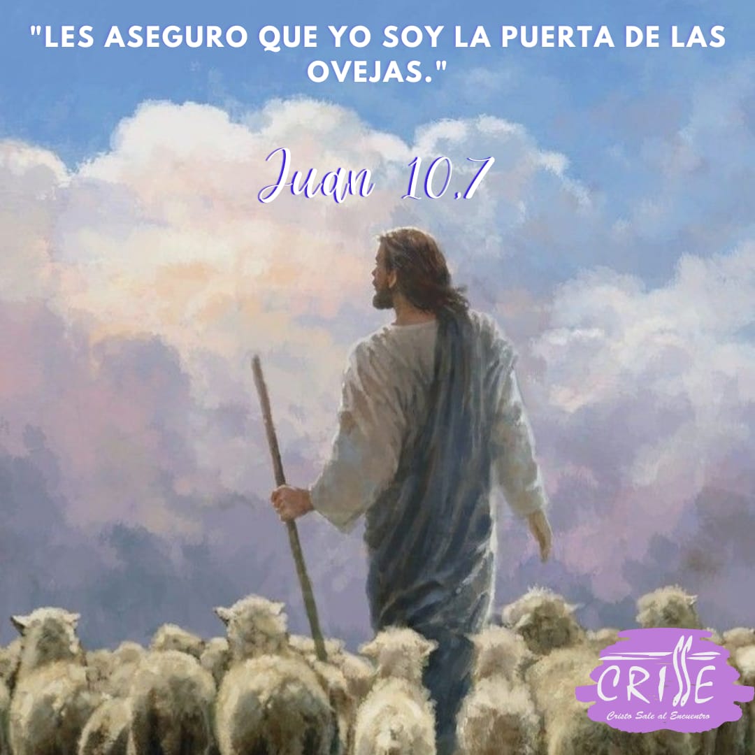 CrCrisse's tweet photo. EVANGELIO DE HOY 🐑🌾🚪
Jesús nos muestra el camino y conduce en la dirección que el Padre quiere, como un pastor a sus ovejas. Para obtener la salvación, tenemos que oír, aceptar y vivir su palabra 
Esforcémonos por atravesar esta puerta que Él nos la abre de par en par. https://t.co/irGLE8ntpy