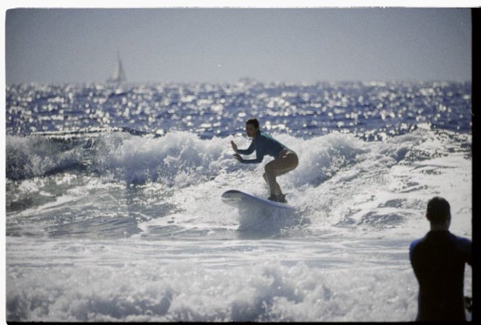 🌊🦈 https://t.co/eYW9Efzzxy