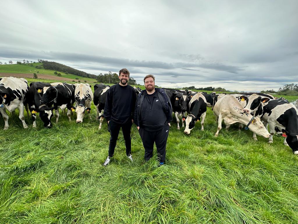 Placita Honda tweet media