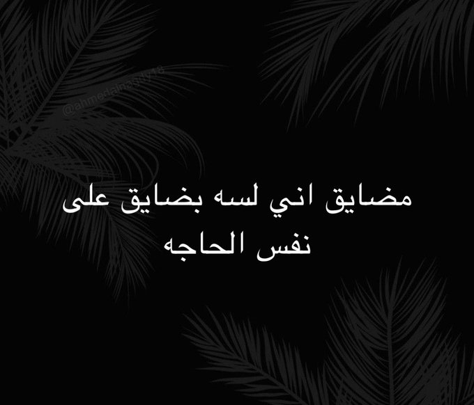 محمود tweet media