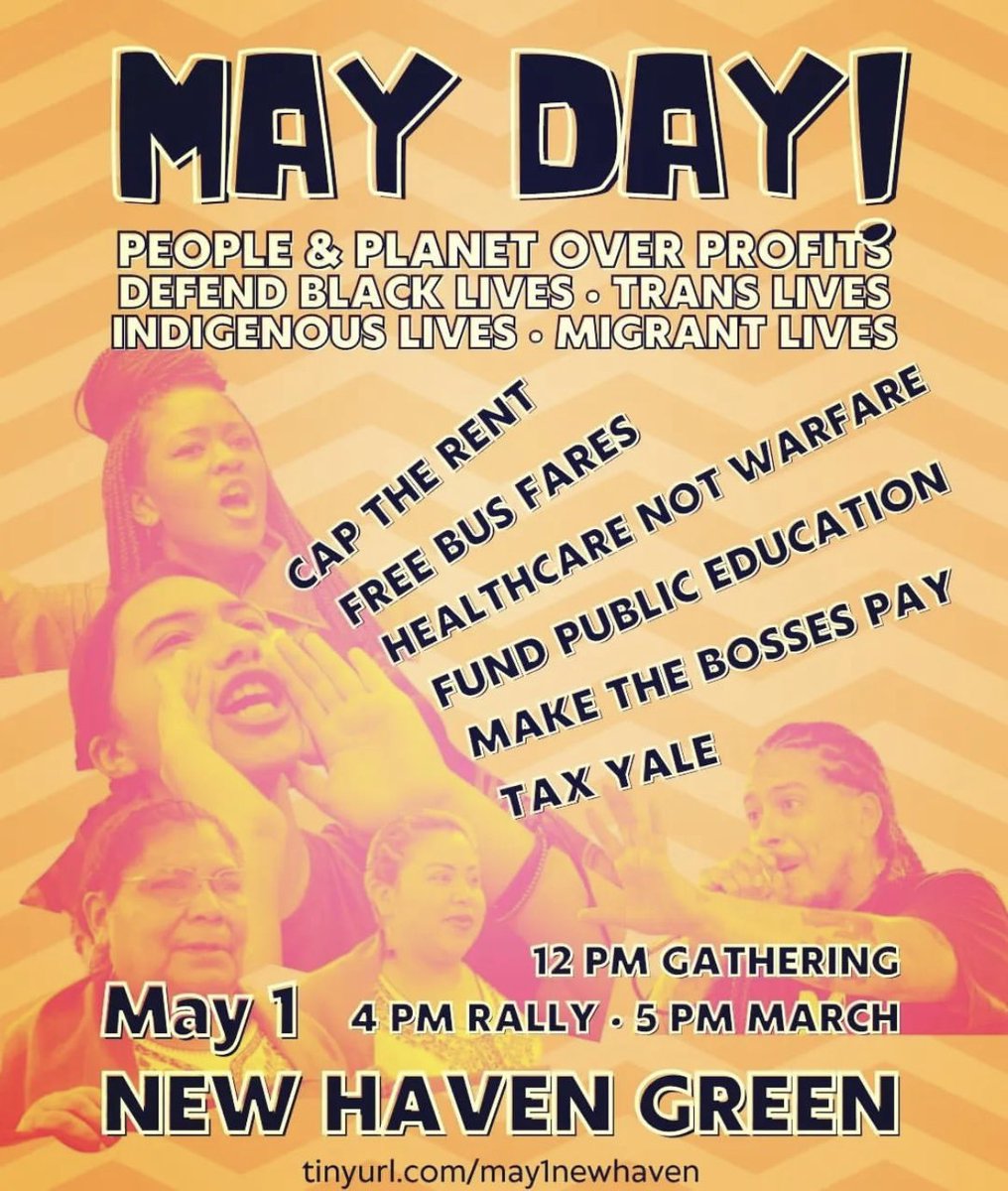 Connecticut DSA 🌹🐳 tweet media