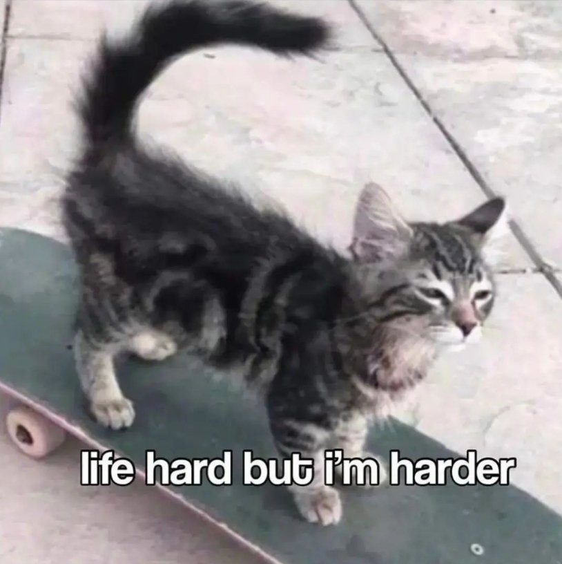 Hychie_'s tweet image. 