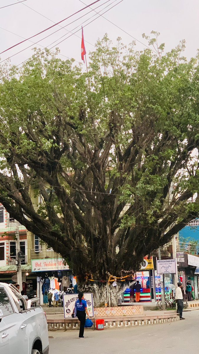 पश्चिम चितवनको केन्द्र बिन्दु चनौलीको दृश्य 🇳🇵