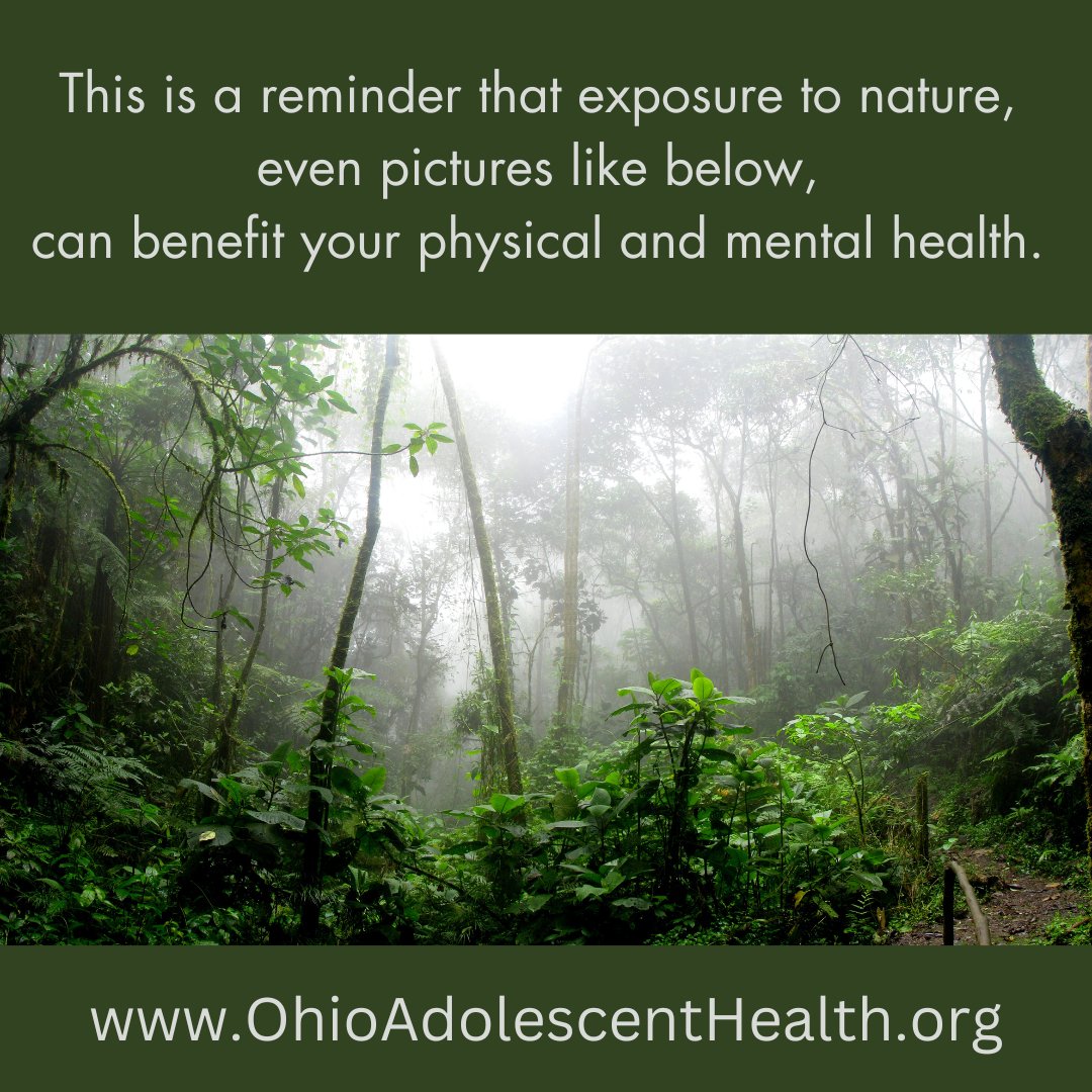 OhioAdolHealth's tweet image. Study on how simulated exposure to nature provides physical and psychological restorative effects on adolescents: sciencedirect.com/science/articl…