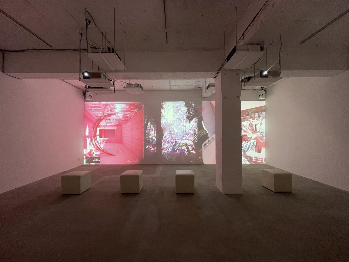 Angela Mantilla tweet media