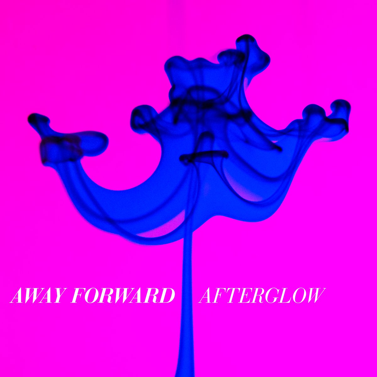 Away Forward tweet media