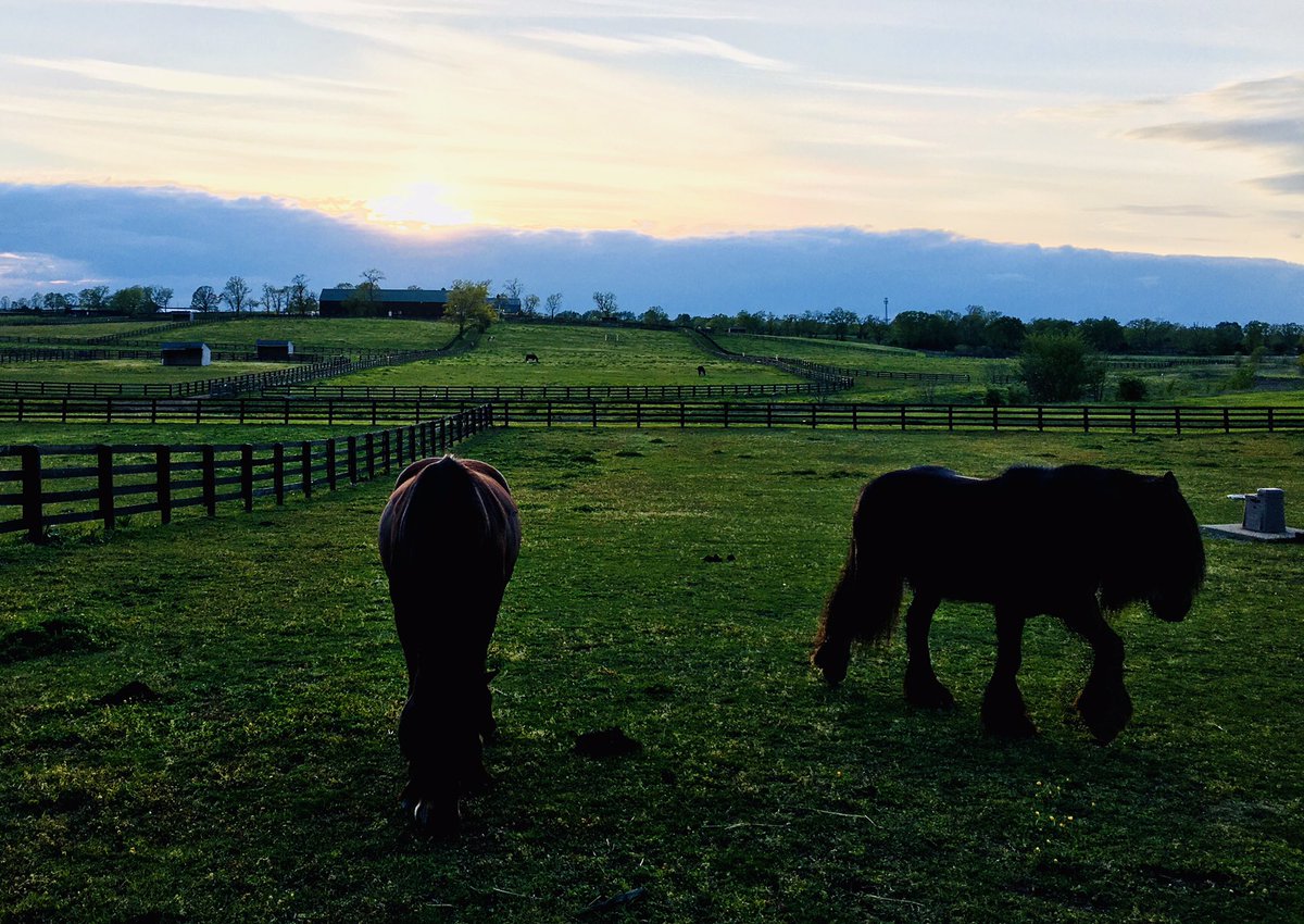 EFOUSA's tweet photo. As night falls on Sunday, I want to thank all those I met this weekend in Kentucky. It truly is the people that make #KyThreeDayEvent #LRK3DE special. Thank you for the privilege. https://t.co/vD0K6LrcxT