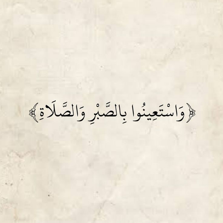 عرب tweet media