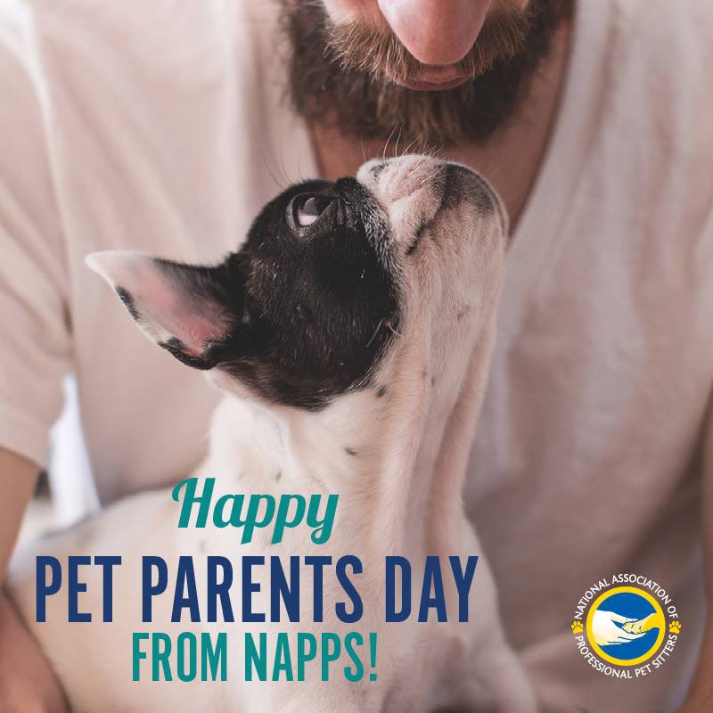 TheNAPPS's tweet photo. Happy National Pet Parents Day!
Become a NAPPS pet parent today!
Read more on our blog-
https://t.co/6XjVJydXqS
#NationalPetParentsDay
#FindAPro #the_NAPPS #NAPPSPets #Petcare #PetCareTips #NAPPSpetparents https://t.co/YAG4FlDibi