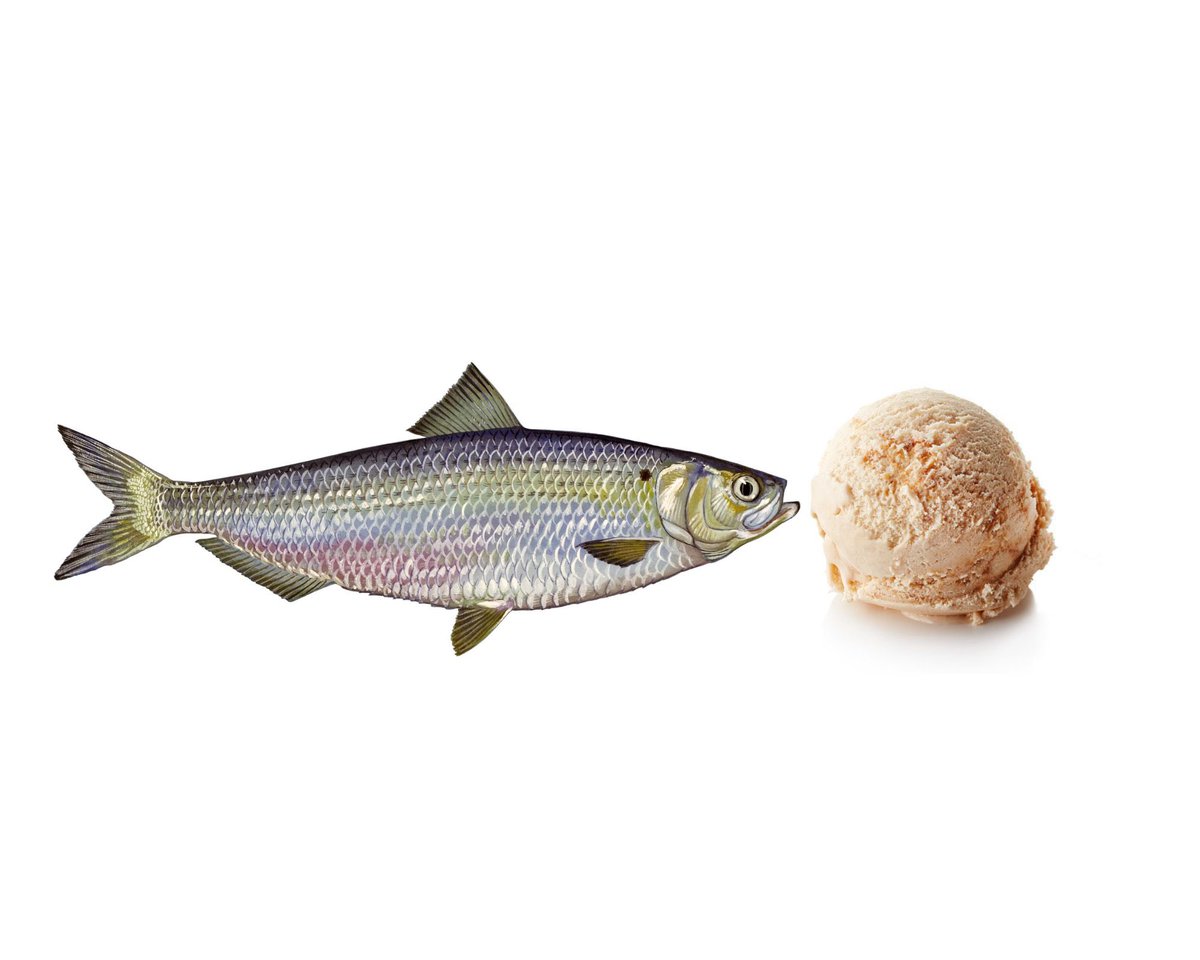 Quando querias peixe fresco mas só tem