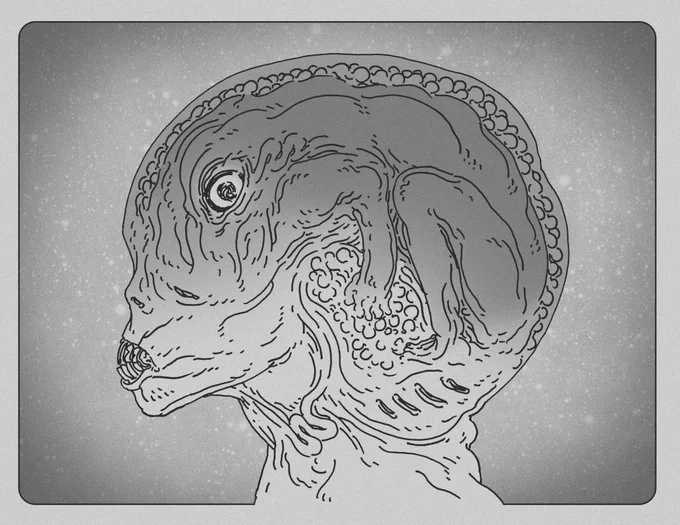 Parasites