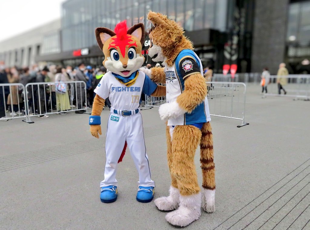realfozzcat's tweet photo. 😸😸😸 #lovefighters #フレップ #ポリー #ポリーポラリス #frep #frepthefox https://t.co/ZaclNUh451
