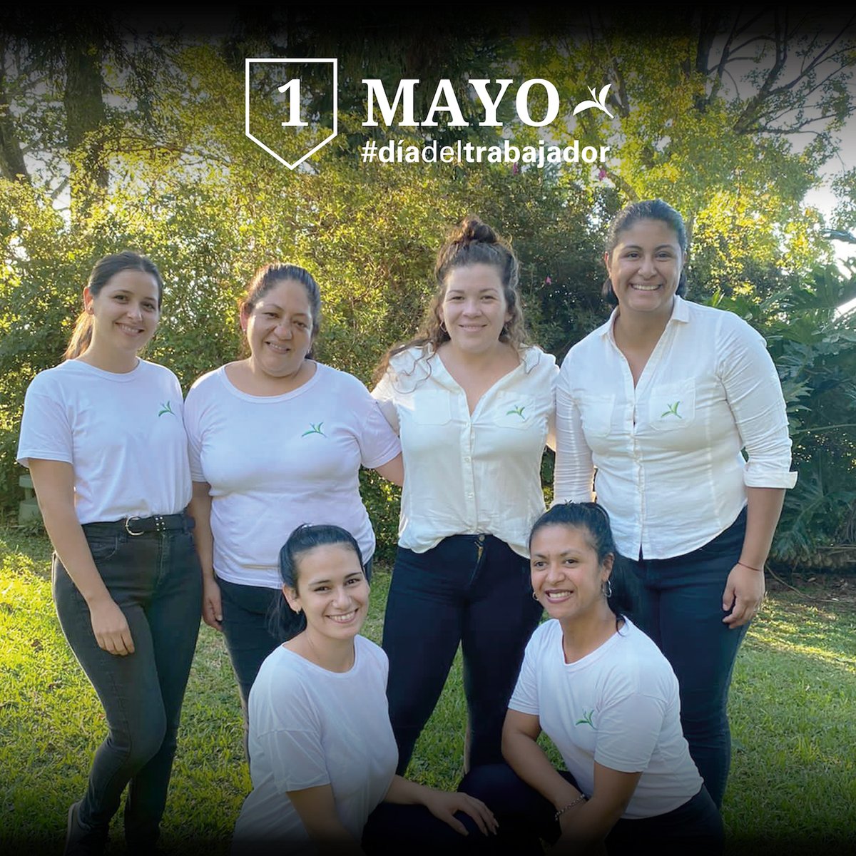 delteruta's tweet photo. ¡Hoy saludamos a todos los #trabajadores, especialmente a nuestro gran equipo de #LaRutadelTé! 🌱 Aprendimos y seguimos aprendiendo cada día,  innovamos y nos mantenemos siempre al servicio para que tu experiencia al visitarnos sea inolvidable. ❤️ Nos reencontramos mañana. https://t.co/YGh8fFcBXR