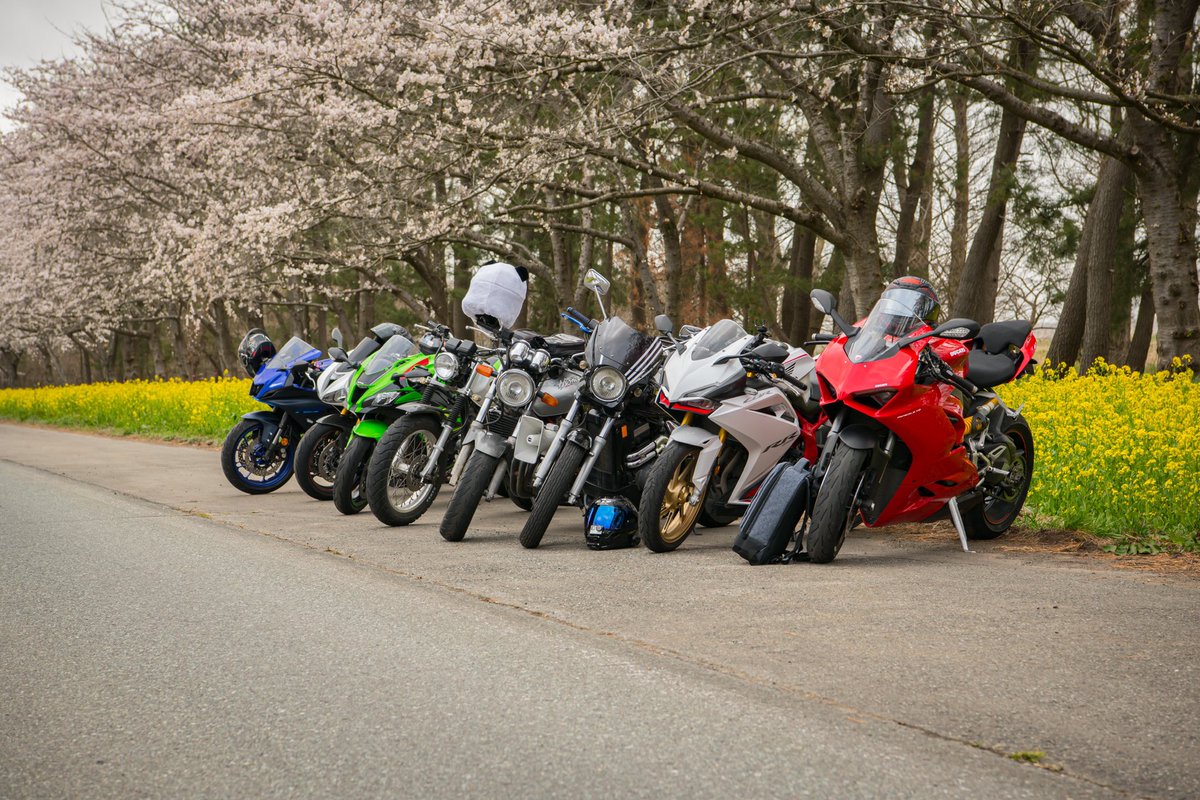 SIG0107's tweet photo. 名前:hase
性別:🚹
年齢:23歳
身長:178
住み:青森県
愛車:Ninja250/ホーネット250
好き:一眼レフ/ツーリング
一言:気軽にツーリング誘って下さい!
#バイク好きと繋がりたい
#バイク乗りとして自己紹介
#ホーネット乗りと繋がりたい
#バイク乗りとして軽く自己紹介
#pandawithamission https://t.co/wgpDiaSvVo