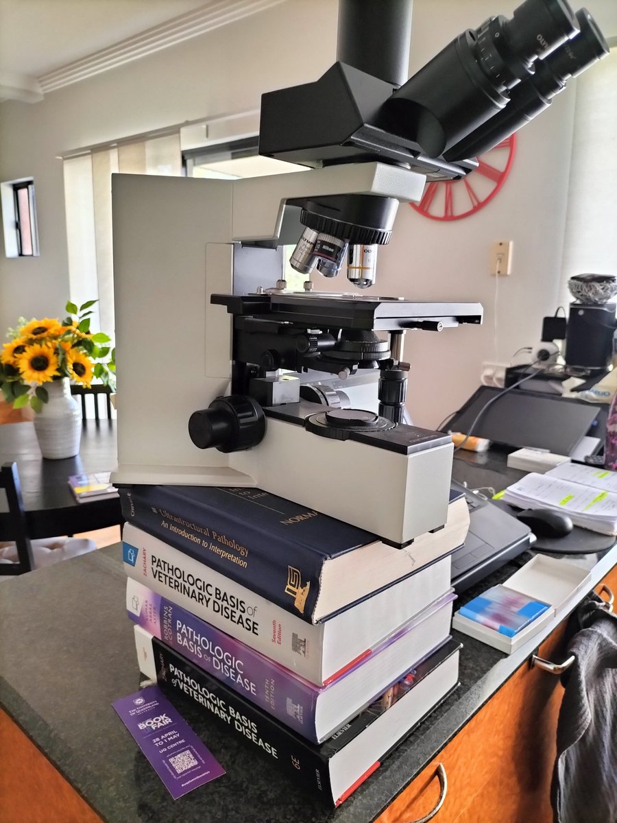 PalmieriVetPath's tweet photo. Life of a pathologist with back pain... https://t.co/ON7SzSEvZS