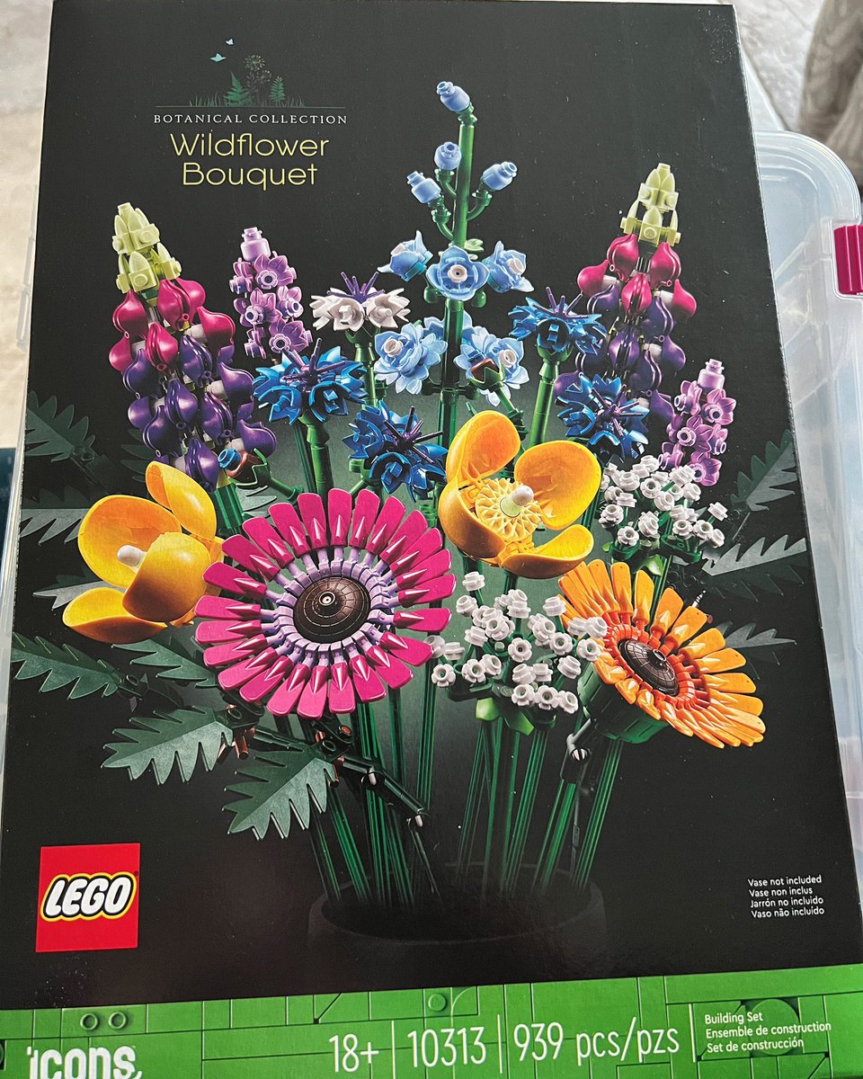 Katie Felix tweet media