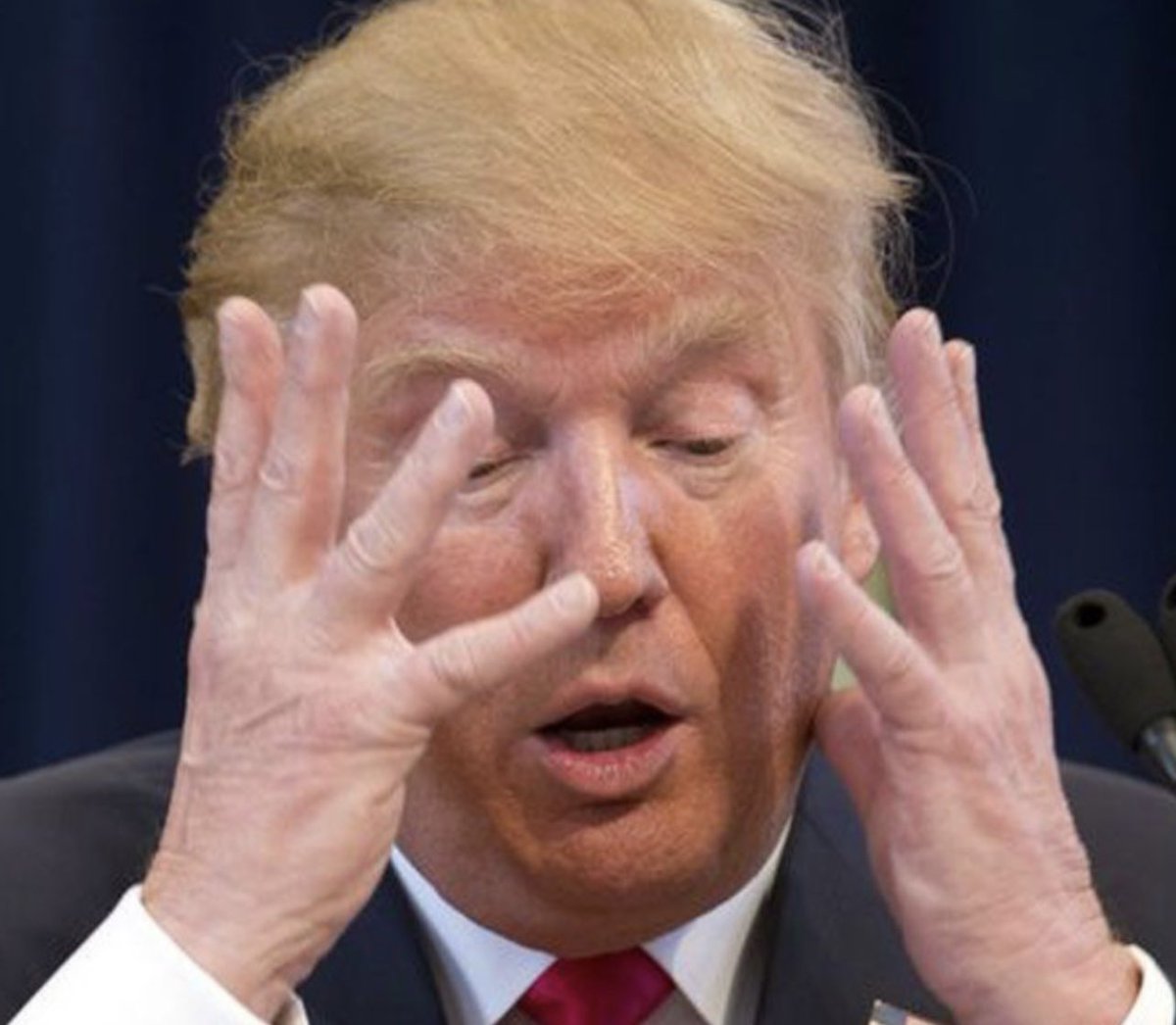 CALL TO ACTIVISM tweet media