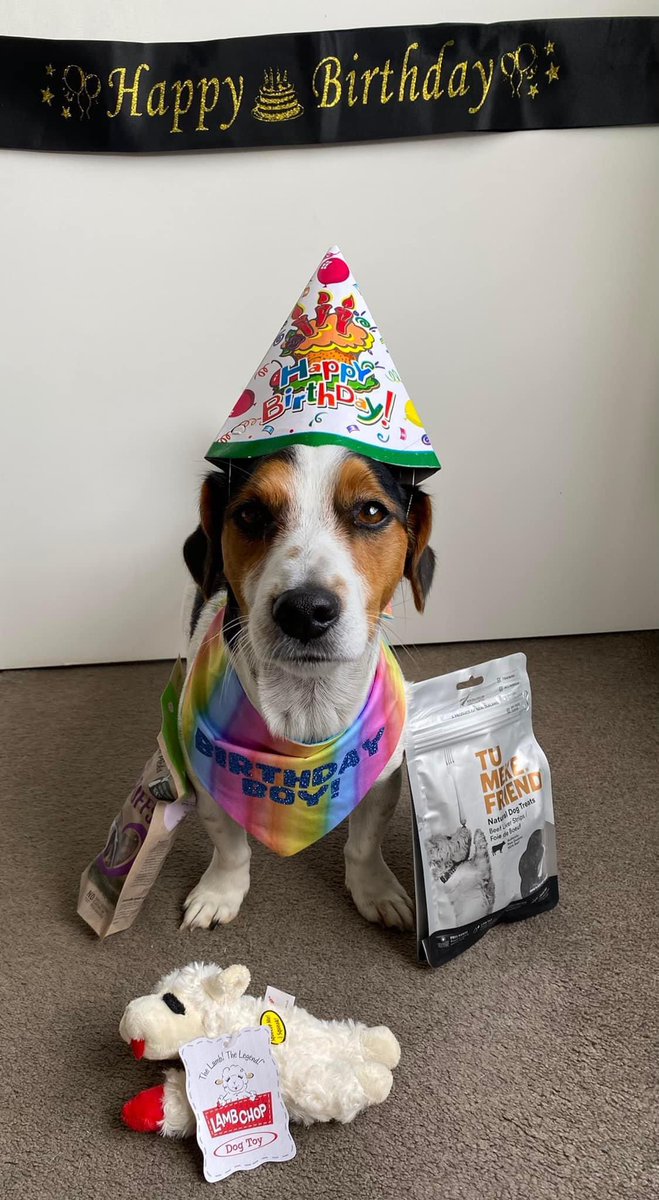 GusinTime's tweet image. It’s my Birthday frens. 5 years ago I was born with 2 Sisters and 1 Brother. I wish my mummy was here to celebrate with me, but I know she’s partying with me from heaven. Happy Birthday to me 🥳🎉🎂🎁🐶🥹🩵