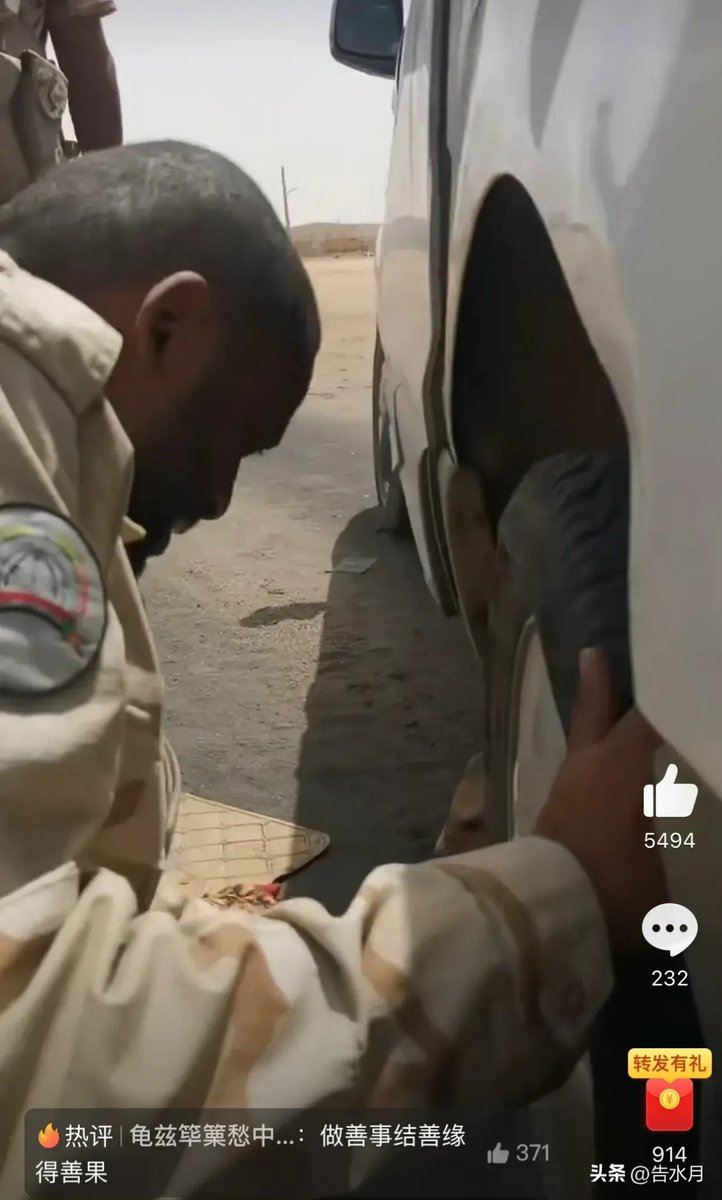 养猪致富的万医生👊🇺🇸🔥（就不吃软饭） tweet media