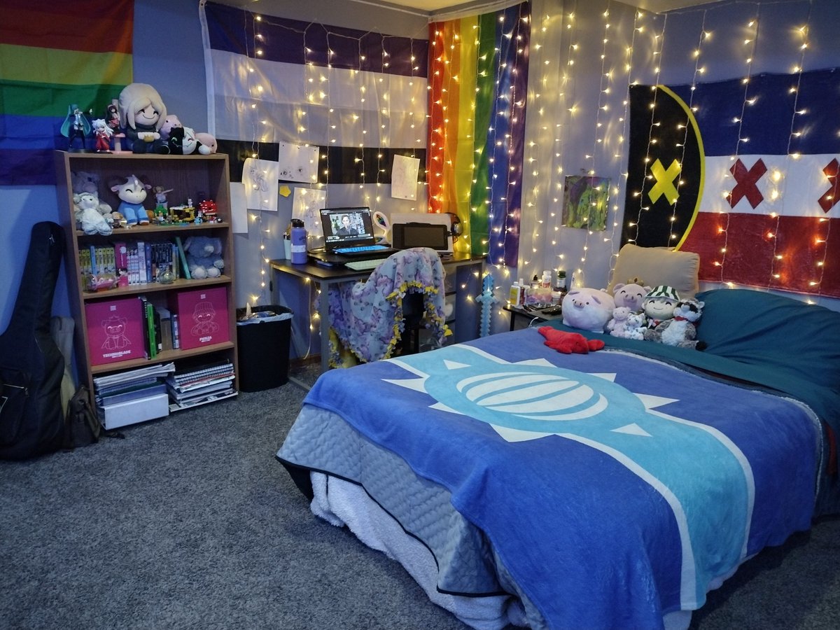 StrayCorvid's tweet photo. First real bedroom as an adult. It's amazing how nice I can make my surroundings when it isn't dictated by bad parents https://t.co/SN21EjGhIv