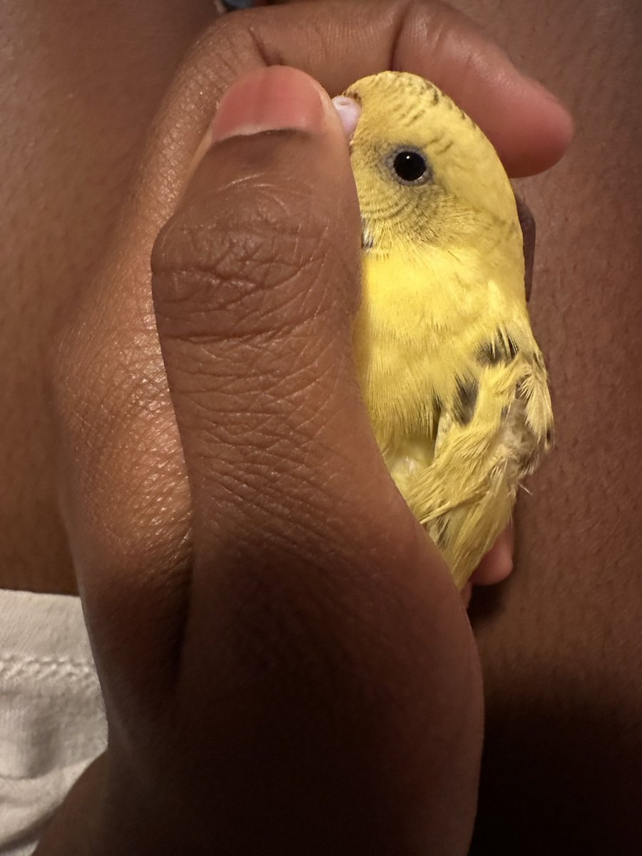 thefemalerulaa's tweet photo. just twisted my bird beak, you don’t call my nigga the wrong name https://t.co/rkATDZwUDi