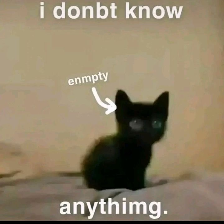 literallymecats's tweet photo. https://t.co/Xvhwdi2YcV