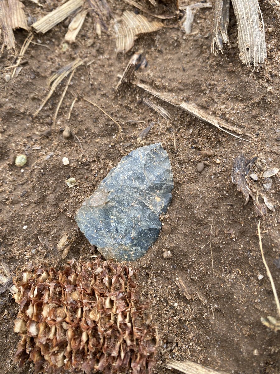 aTinaMichel's tweet image. What did you do this weekend? I killed a turkey and found artifacts! #outdoors  #ohioturkeyhunting #arrowheads