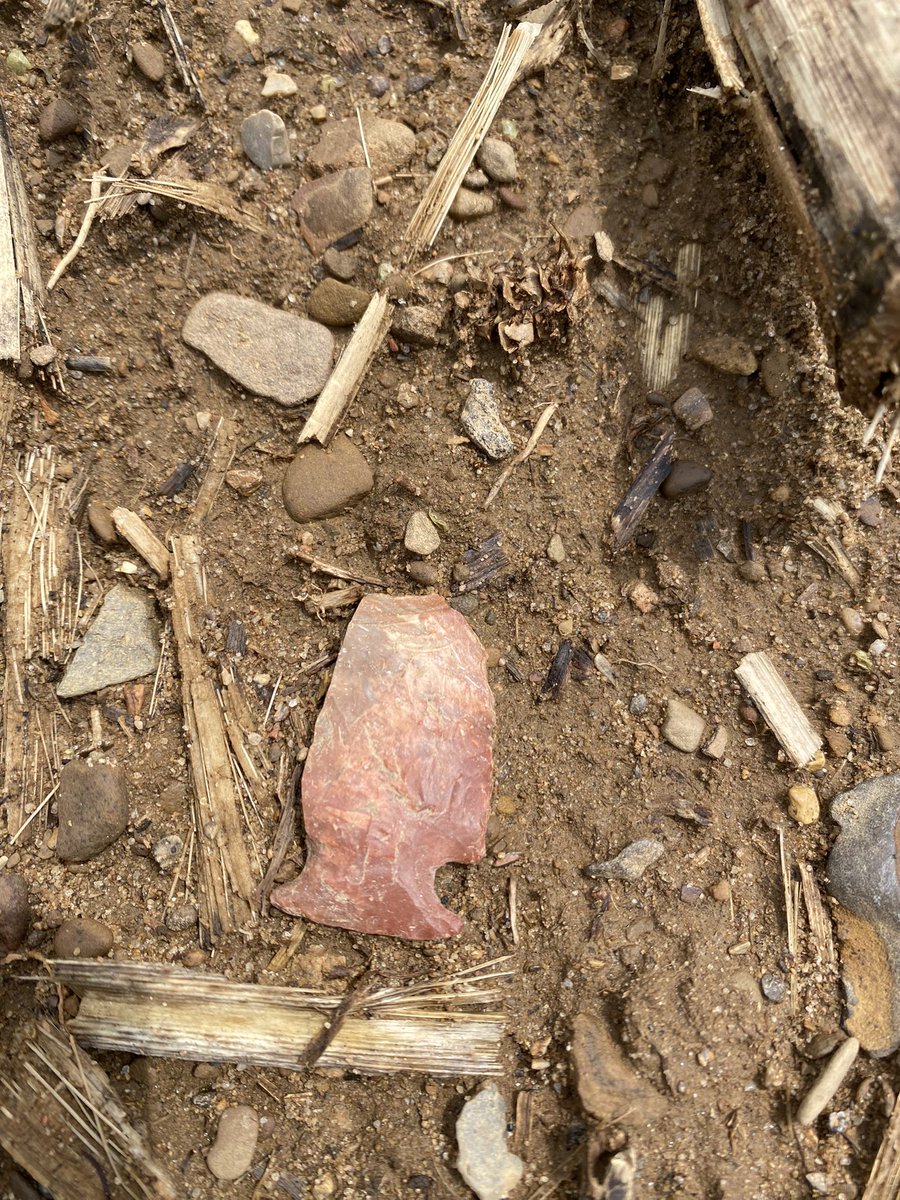 aTinaMichel's tweet image. What did you do this weekend? I killed a turkey and found artifacts! #outdoors  #ohioturkeyhunting #arrowheads