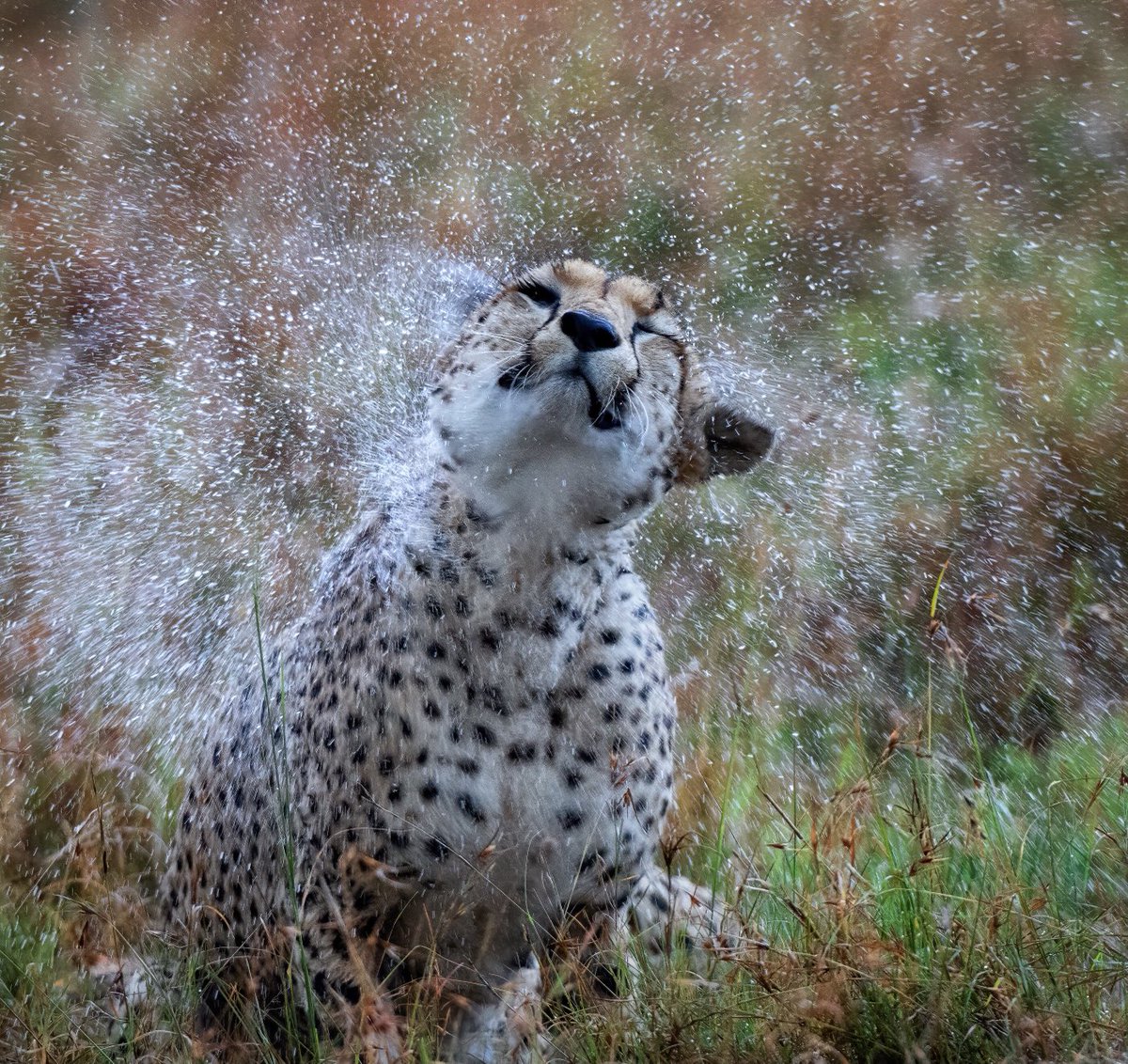 April Showers…
#rain #spring #FST $FST