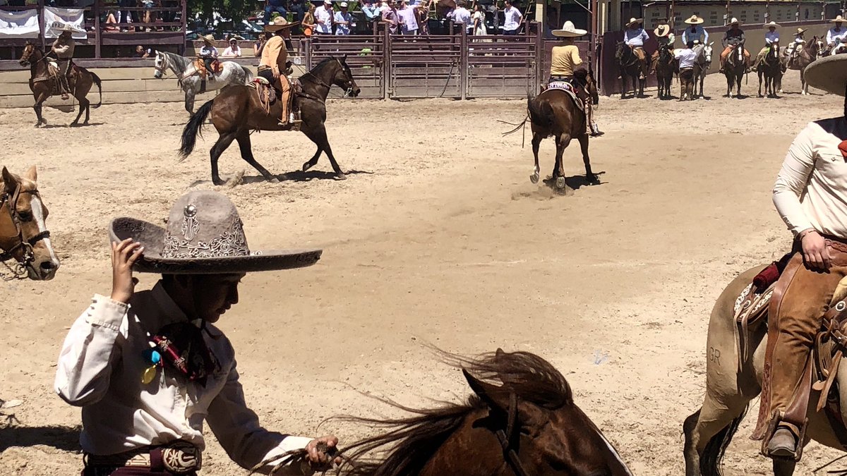 HectorMachado's tweet photo. One of my favorite Fiesta events. It was packed! #ADayInOldMexico #fiestasanantonio #fiesta2023 https://t.co/9TqsEBPuzX