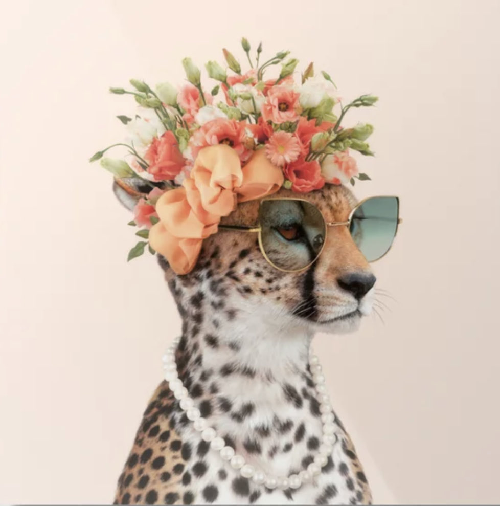 Brings May FLWRS…
#FLWRS #Spring #FST $FST