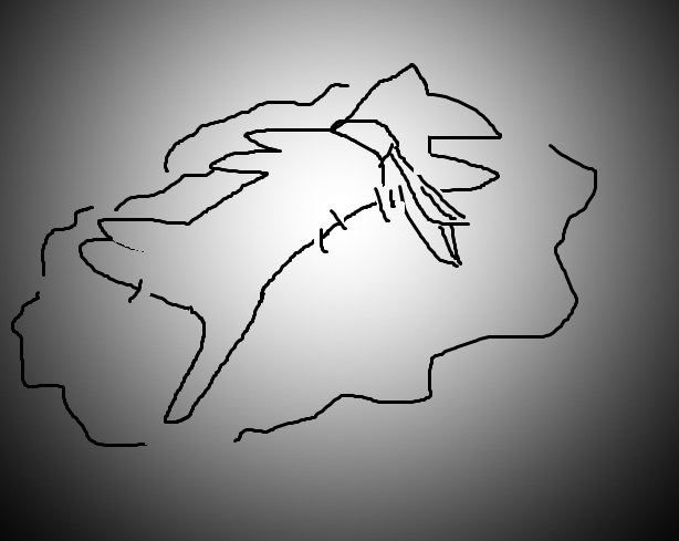 Burger Zoi tweet media