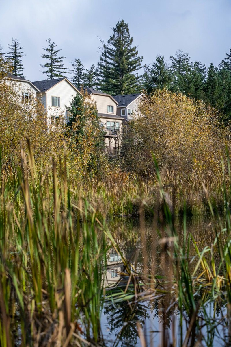 Wetlands Conservancy tweet media