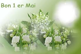 lallier_michel's tweet photo. @ClaudeMenin Bonjour et Bon 1er Mai 💐Claude💐Espérons que ce sera l'Ultime Gros Bide de ses #Emmerdeurs 😠et qu'après, Notre Grand Président @EmmanuelMacron et Notre Gvt pourront Bosser + sereinement🙏#JeSoutiensEmmanuelMacronNotreGrandPrésident #StopCGT #StopViolence 😠🙏Bisous 😘😘😘 https://t.co/HV0uvVRamx